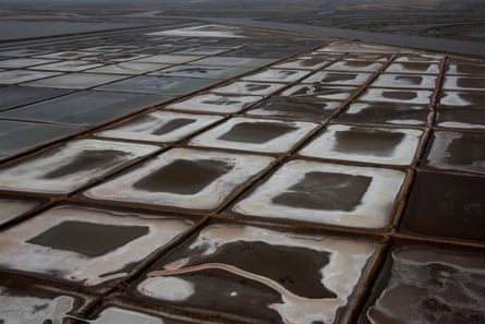 An expanse of land divided into squares. the outer edges of the squares are white with salt.