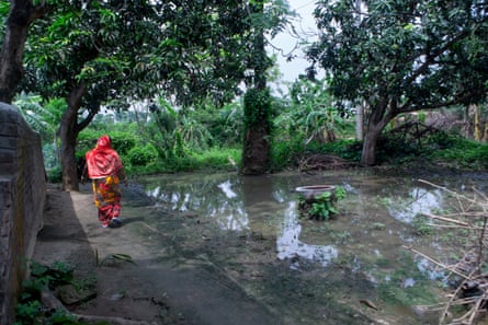 A woman in a red sari walks next to a pond surrounded by trees.