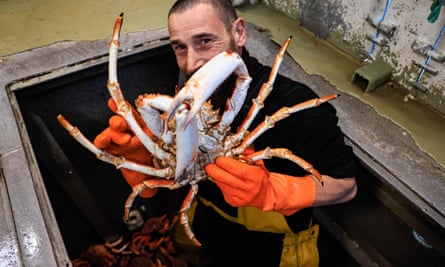 A fisher holds a spider crab as he unloads the day’s catch from the “Franck-Annie” boat in the harbour of Saint-Malo, Brittany.