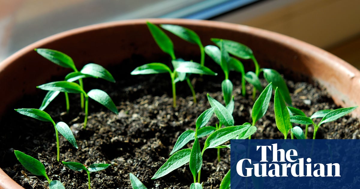 When it comes to preparing seeds for your garden, you’ll reap what you sow