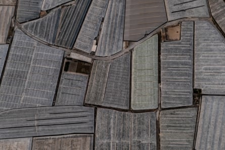 A detail of Campo de Dalías