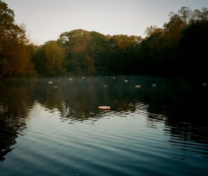 The Ladies Pond Three Writers Dive In Swimming The Guardian