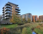 Young first-time buyers forced into ‘nature deserts’, UK data shows Young first-time buyers forced into ‘nature deserts’, UK data shows