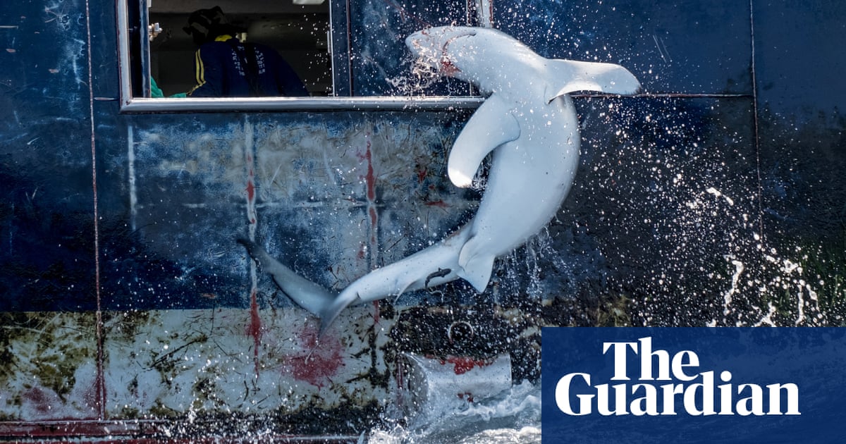 2203.jpg?width=1200&height=630&quality=8