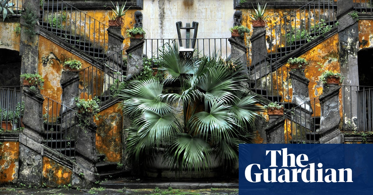 Urban decay and camel rides readers' best photos