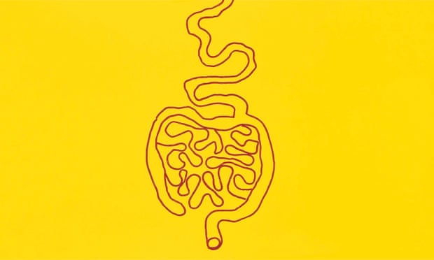 Photograph of artist’s impression of human gut