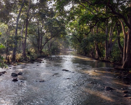 A stream with trees surrounding it