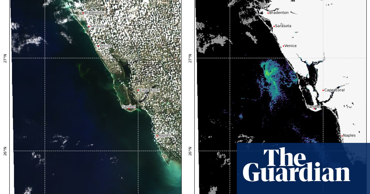 DeSantis urged to declare emergency over toxic red tide algae off Florida coast | Florida DeSantis urged to declare emergency over toxic red tide algae off Florida coast | Florida