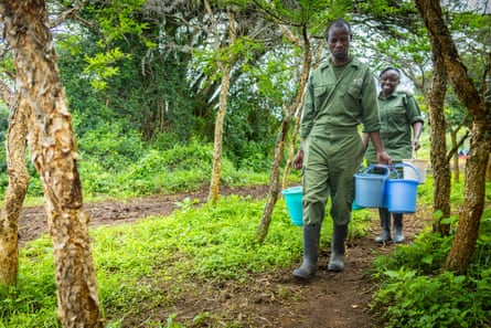 A man and a woman carry a bucket in each hand, walking down a mud track between trees.