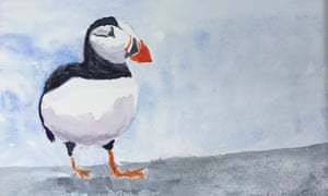 Painting of a puffin.
