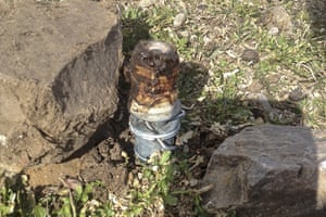 The cyanide device, called M-44, is spring-activated and sprays poison designed to kill predators.