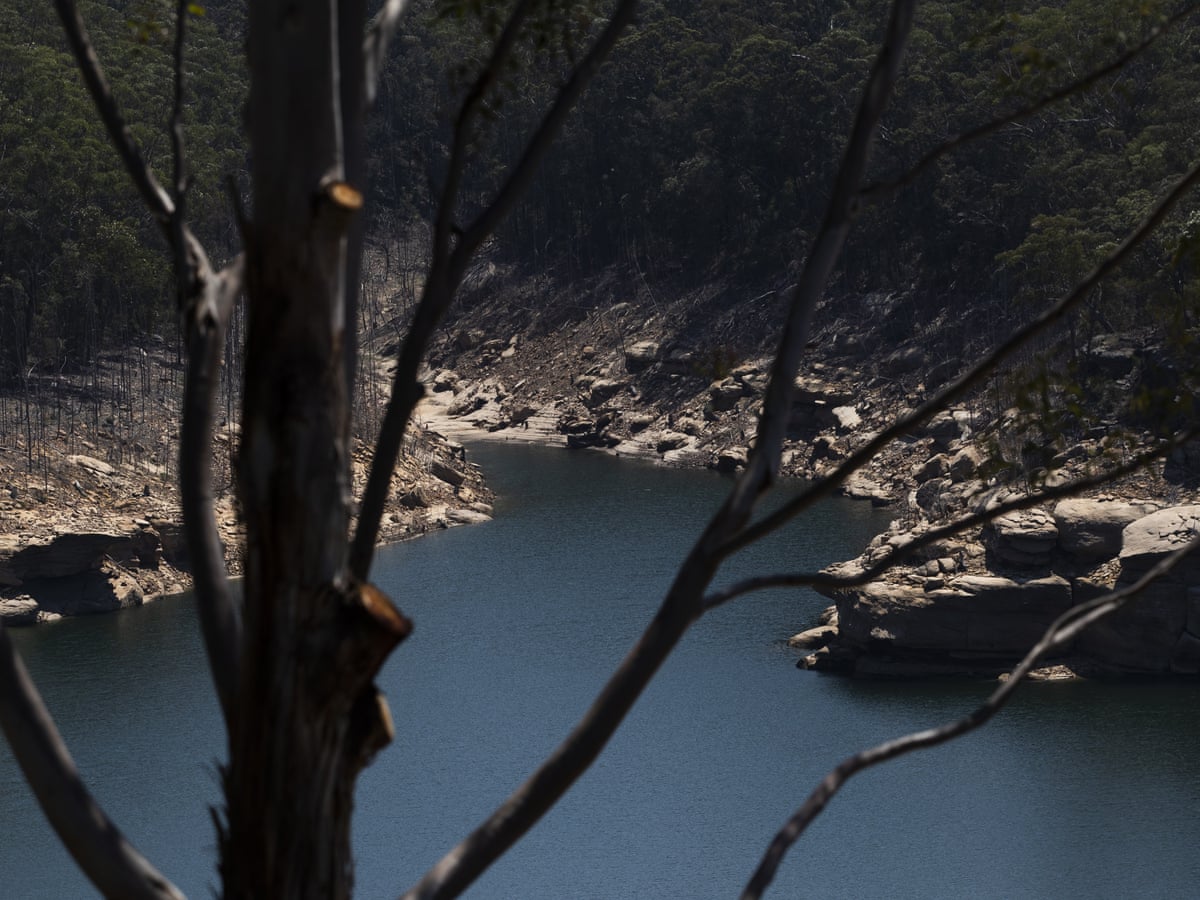 Sydney's drinking water could be polluted by bushfire ash in Warragamba Dam catchment, expert says | Bushfires | The Guardian Sydney's drinking water could be polluted by bushfire ash in Warragamba Dam catchment, expert says | Bushfires | The Guardian