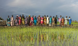 A row of women stand beside a paddy field