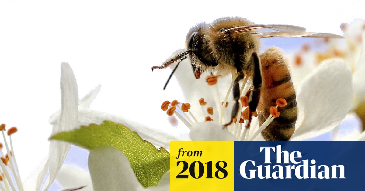 A Better Way to Discuss the Birds And Bees Health.Usnews: Essential Tips