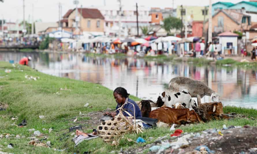 A woman sits with her sheep along the Andriantany waste water channel in Antananarivo.