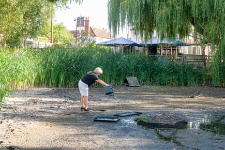 A woman fills a tray with water from a watering can.