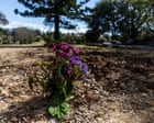 PM called on to act on communal grave revelations as NSW commits to urgent review