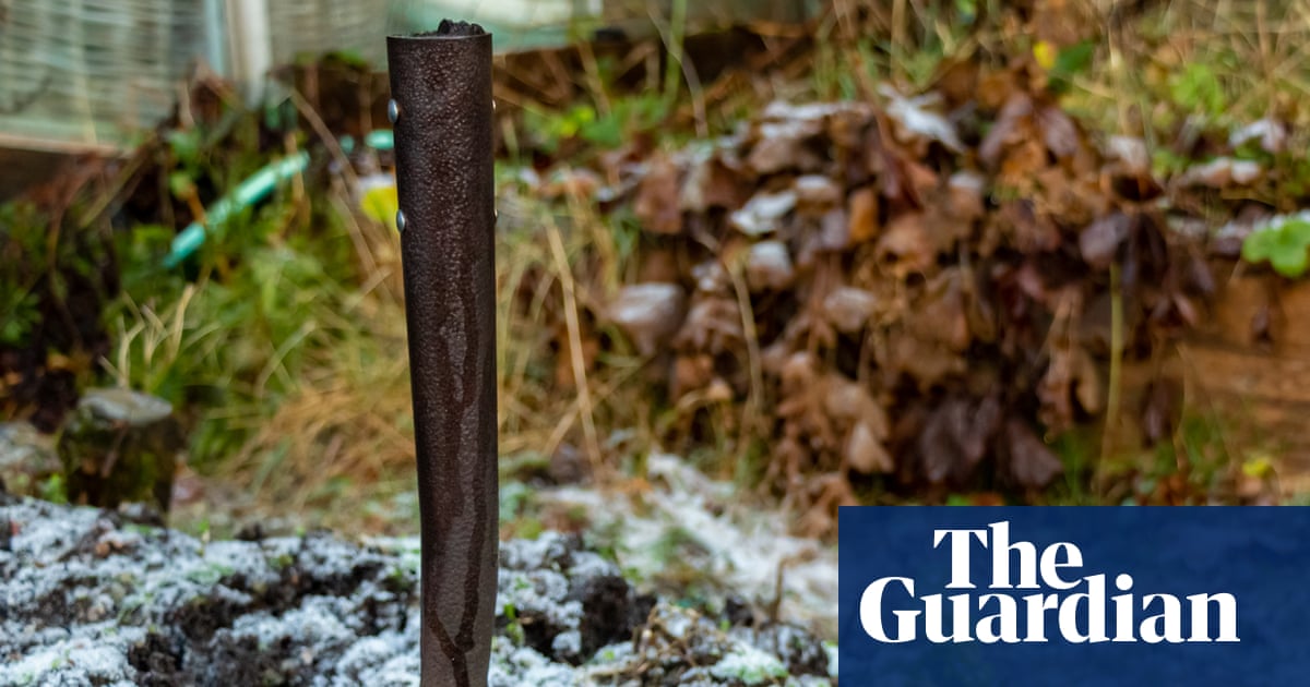 Now is the time to be bold and give your garden a reshuffle