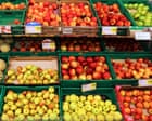 Core values: the Austrian scheme bringing forgotten apple varieties back to life