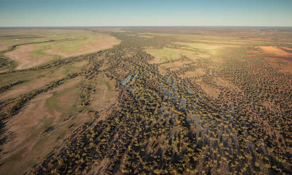 A cattle station in the channel country of south-west Queensland, part of the Lake Eyre basin