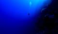 A scuba diver descending a deep ocean reef wall.