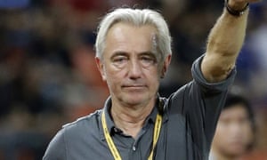Image result for Bert van Marwijk