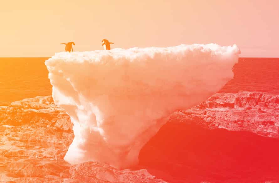 Two Adélie penguins stand on a block of melting ice, Cape Denison, Commonwealth Bay, in East Antarctica.