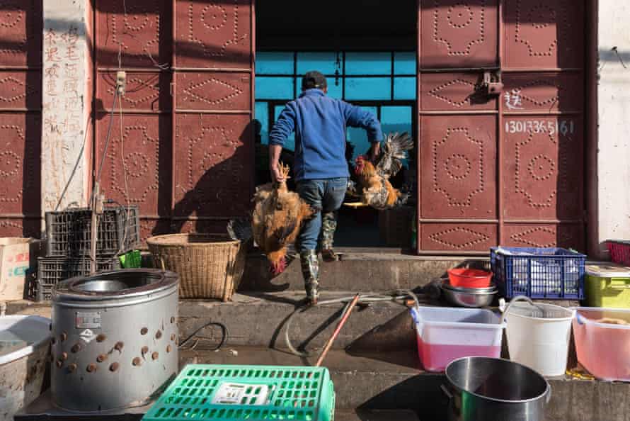 A poulterer carries chicken at the market, in Xizhou, Yunnan, China.
