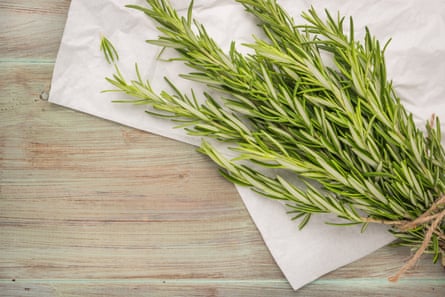 Bunch of rosemary on old wooden board. Top view with copy space