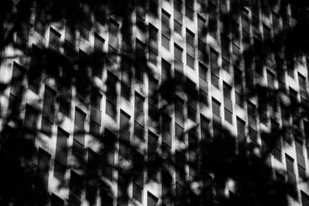 Exterior of a building seen through leaves