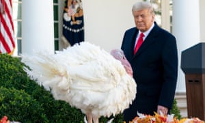 Donald Trump pardons a Thanksgiving turkey at the White House