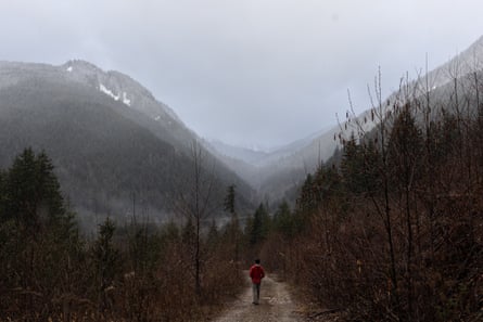 Conservationist Geoff Senichenko examines a clear-cut area in the mountains of the Fraser River canyon.
