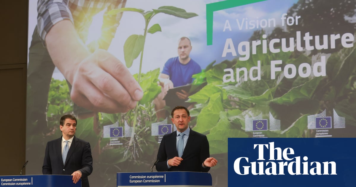 EU overhaul of farming strategy ignores vital green proposals, campaigners warn