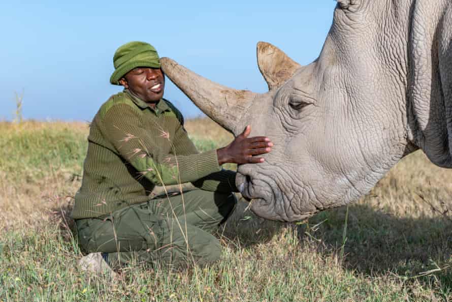 Rhino caregiver James Mwenda spends his days taking care of the northern white rhinos along with 10 other dedicated rangers.