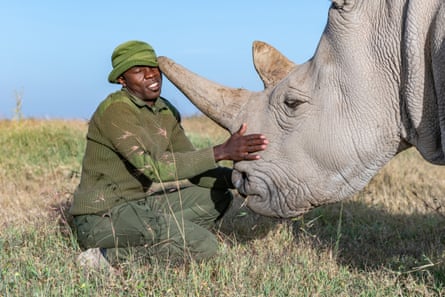 Rhino caregiver James Mwenda spends his days taking care of the northern white rhinos along with 10 other dedicated rangers.
