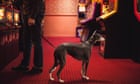 Garrod Kirkwood's best photograph: one man and his whippet in a seaside arcade