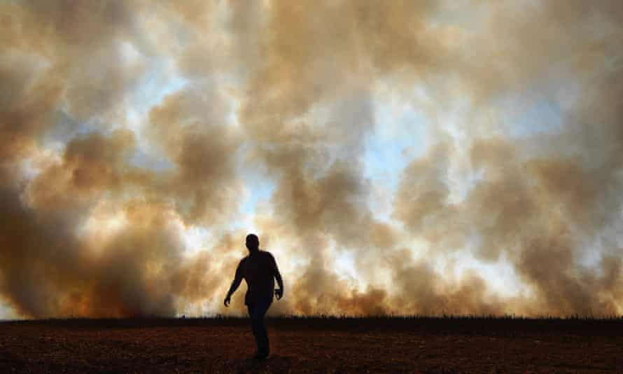 Smoke rises from an illegally lit fire near a rainforest reserve, in Sinop, Brazil