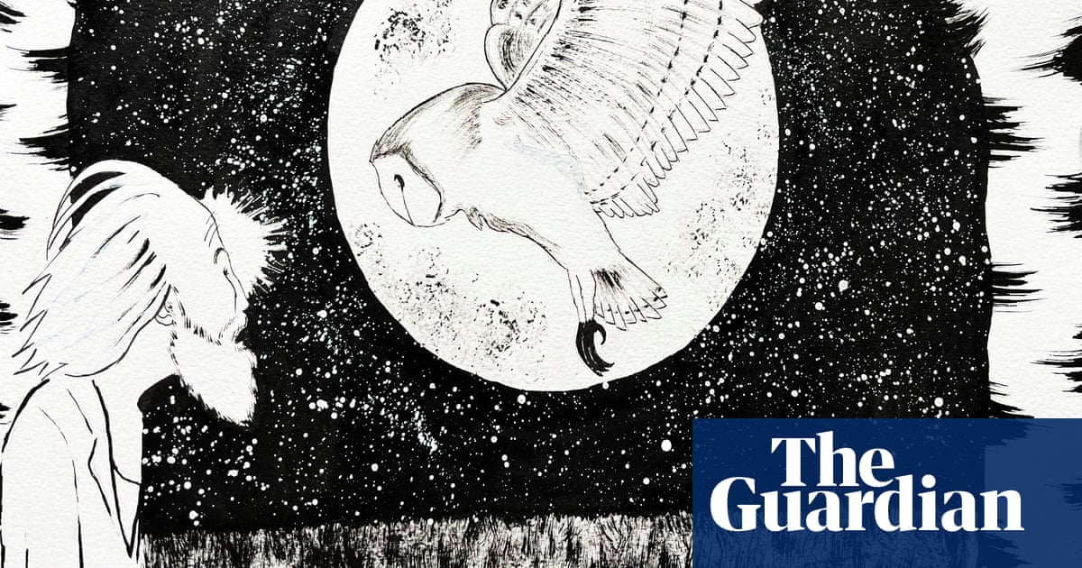 Poem of the week: Nest Box by Simon Armitage