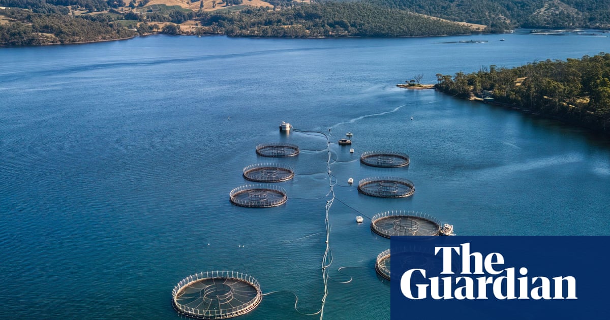 More than 150,000 underwater explosives used to deter seals at Tasmanian salmon farms since 2016