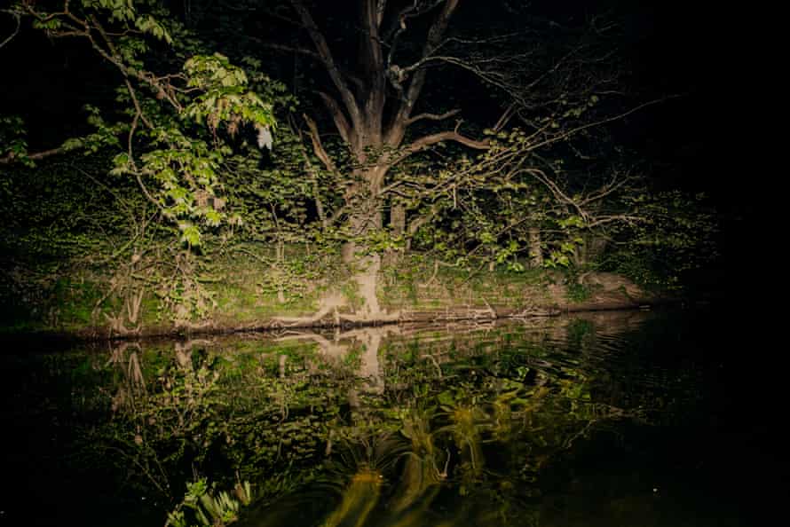 The River Dart at night, as seen from the canoe.