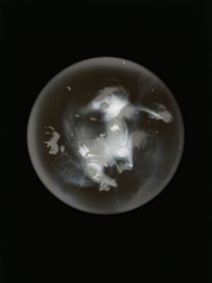 Brilliant artificial worlds … Mandy Barker’s photograph of a specimen she collected from the Cork shoreline.