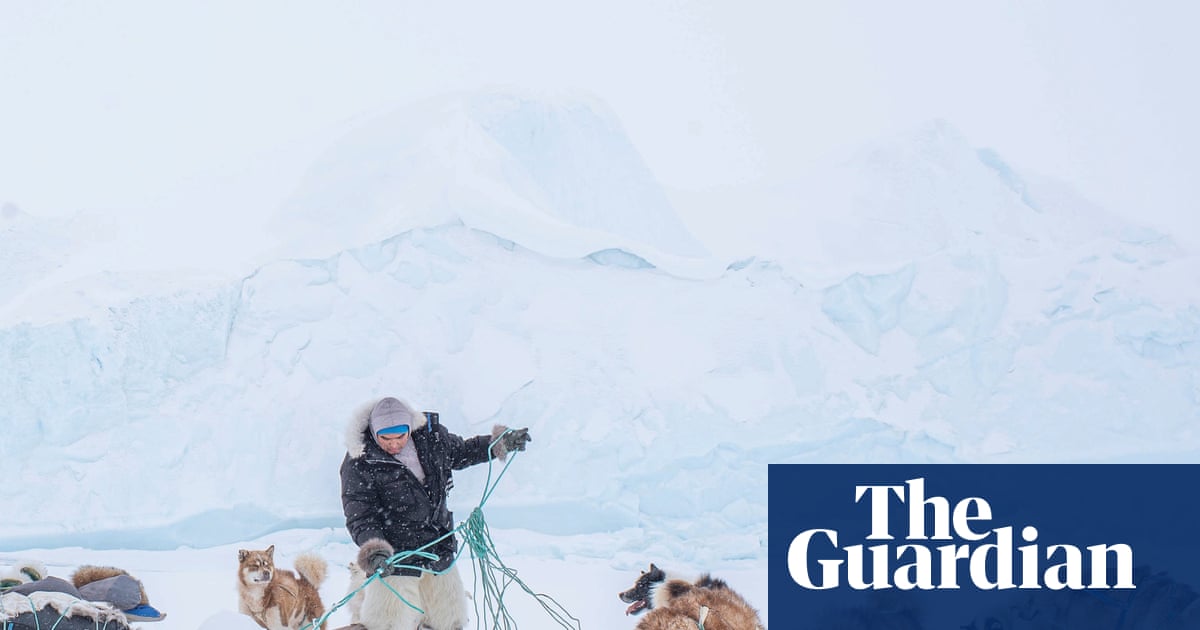 Scaring monkeys? Detecting bedbugs? Meet the elite working dogs – in pictures