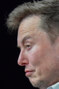 Elon Musk in profile