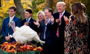 How to avoid a fight about Trump during Thanksgiving dinner How to avoid a fight about Trump during Thanksgiving dinner
