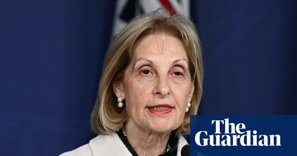 ABC and SBS need ‘oversight’ committee to vet Israel coverage, Jillian Segal tells royal commission