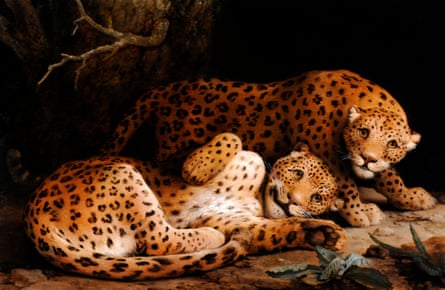 Two Leopards by George Stubbs (c1776)