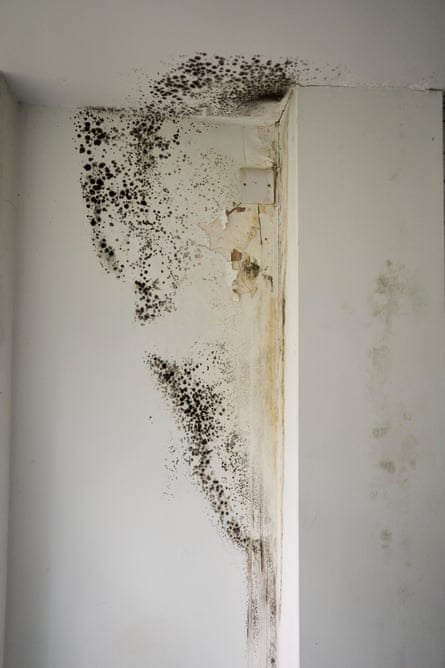 Mould on walls and ceilings.