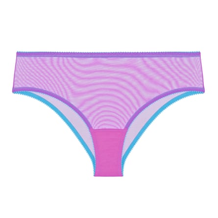 Purple and blue net knickers