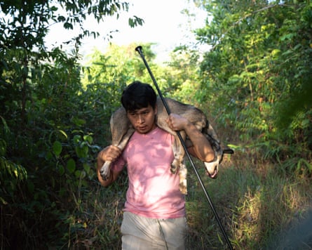 A rescuer in a pink T-shirt carries an injured, sedated dog across his shoulders through the jungle