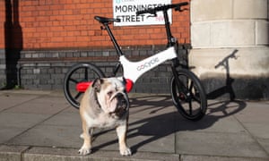 Gocycle electric bike propped against a wall with a bulldog standing guard
